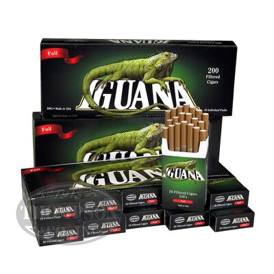 Iguana Cigar Filtered