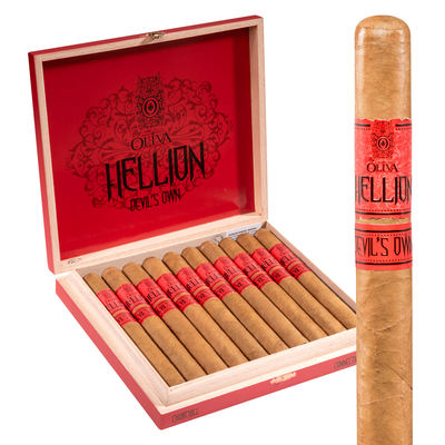 Hellion by Oliva Devil's Own Connecticut
